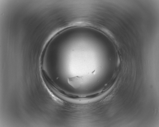 X0000064721430200602101112