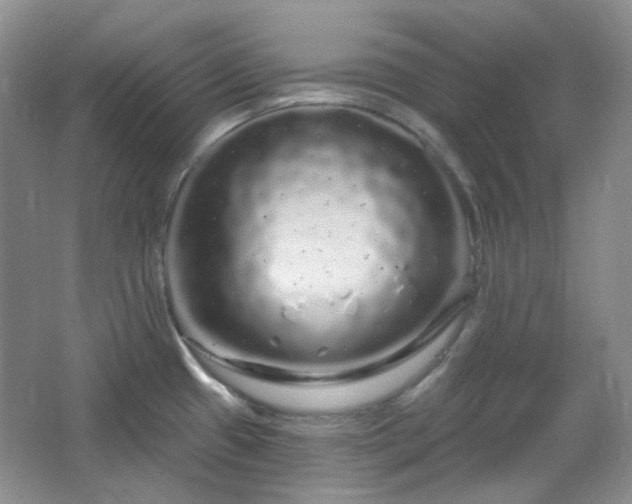 X0000064721433200602101112