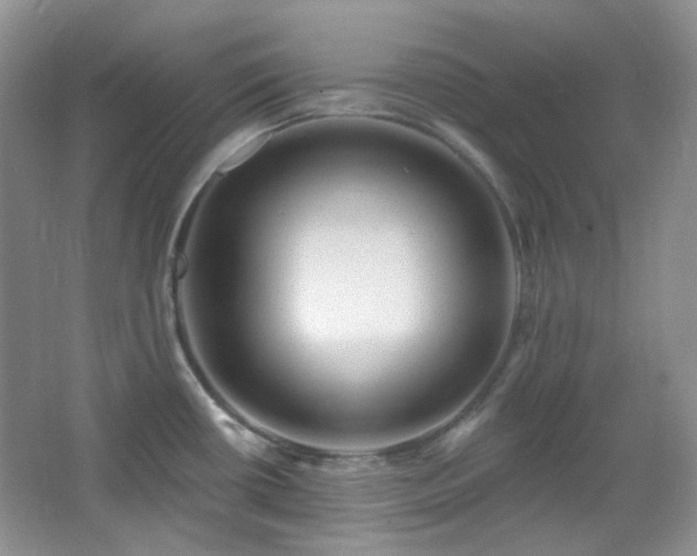 X0000064721434200602101112