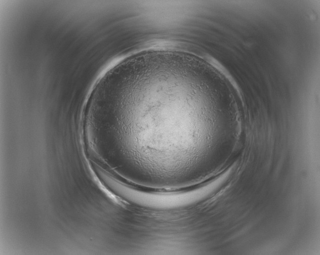 X0000064721437200602101112