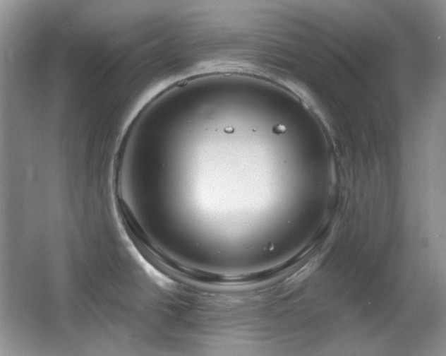 X0000064721438200602101112