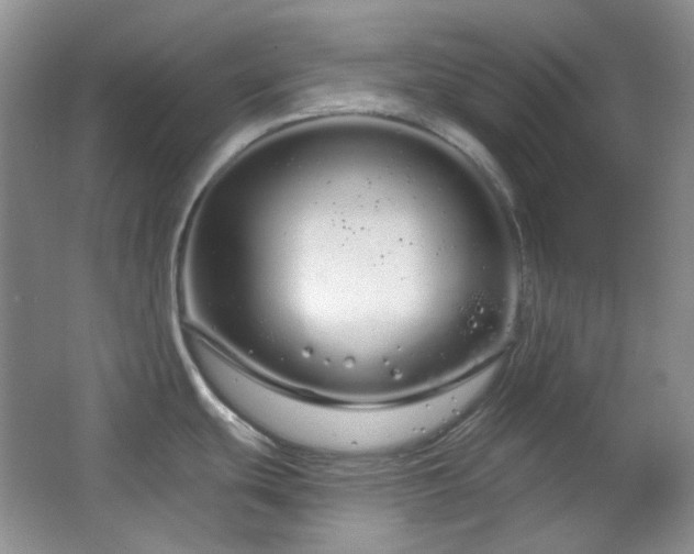 X0000064721439200602101112