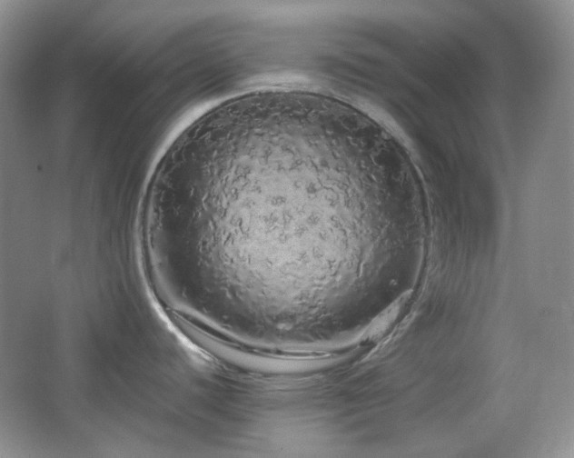 X0000064721440200602101112