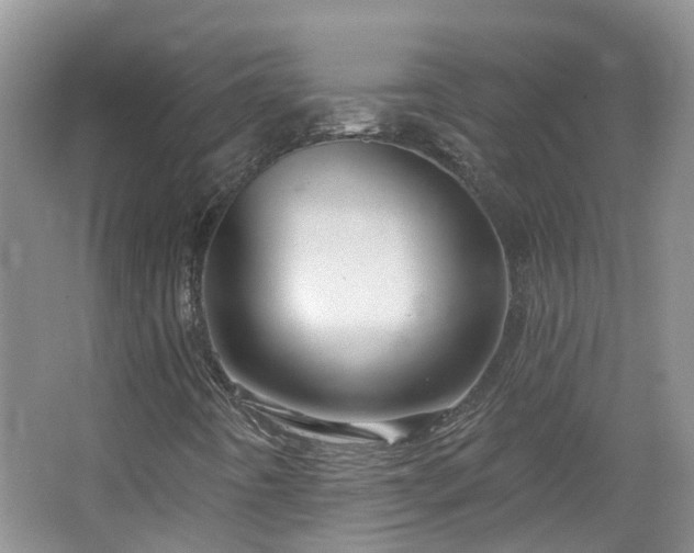 X0000064721442200602101112