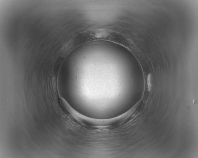 X0000064721443200602101111