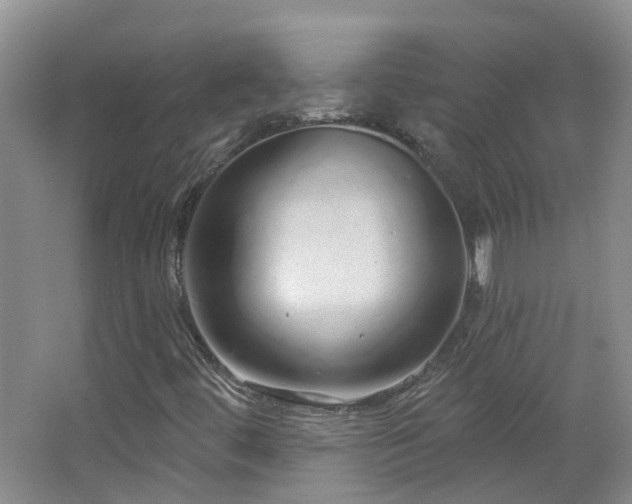 X0000064721444200602101111