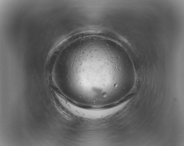 X0000064721448200602101111