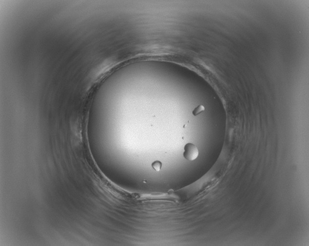 X0000064721451200602101111
