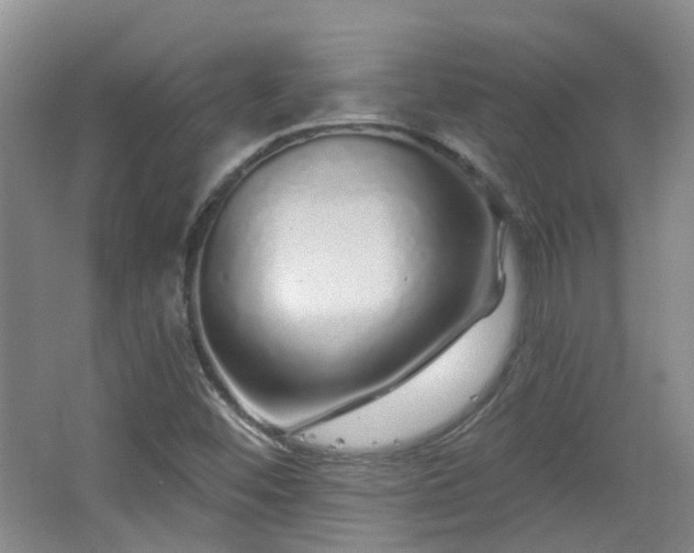 X0000064721452200602101111