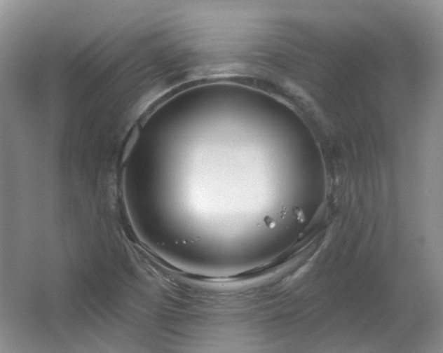 X0000064721457200602101111