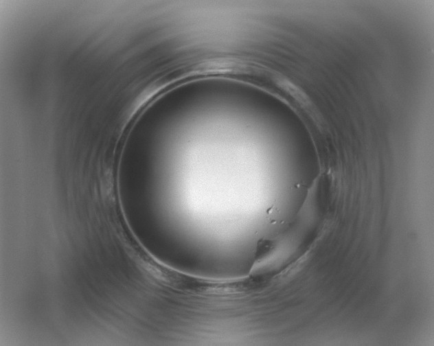 X0000064721465200602101111