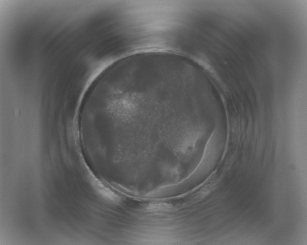 X0000064721466200602101111
