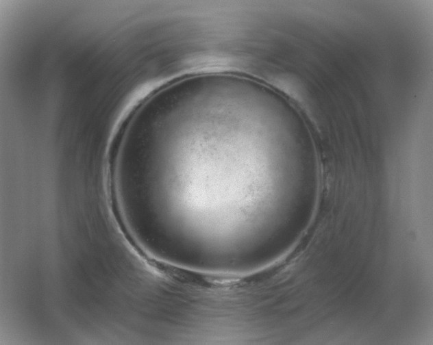 X0000064721472200602101111