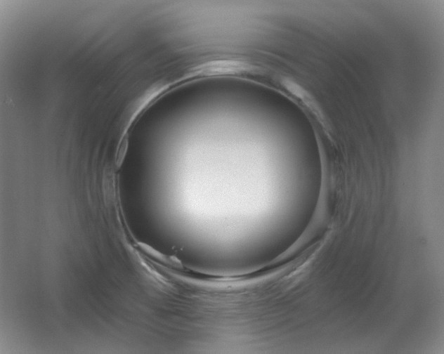 X0000064721473200602101111