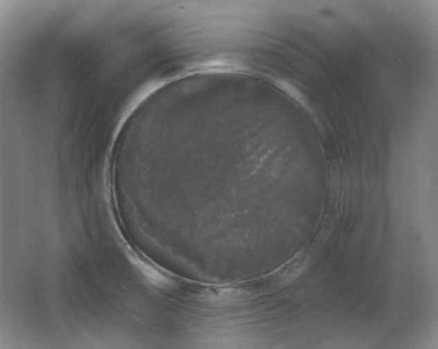 X0000064721474200602101111