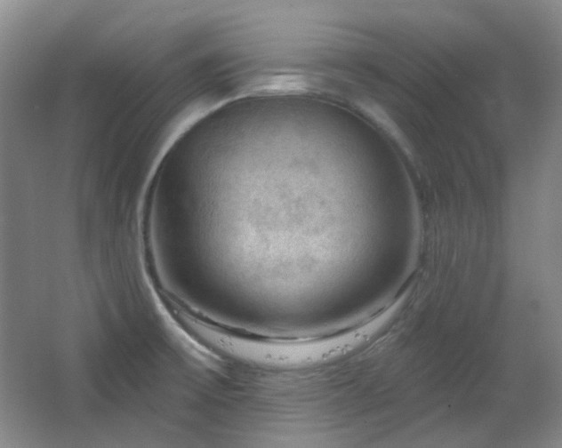 X0000064721475200602101111