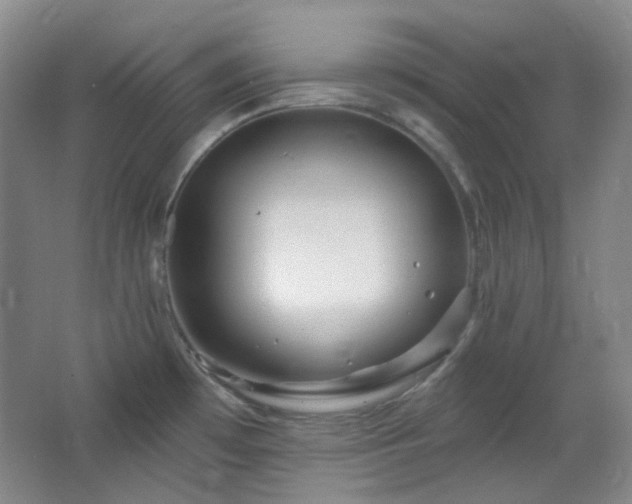 X0000064721481200602101111