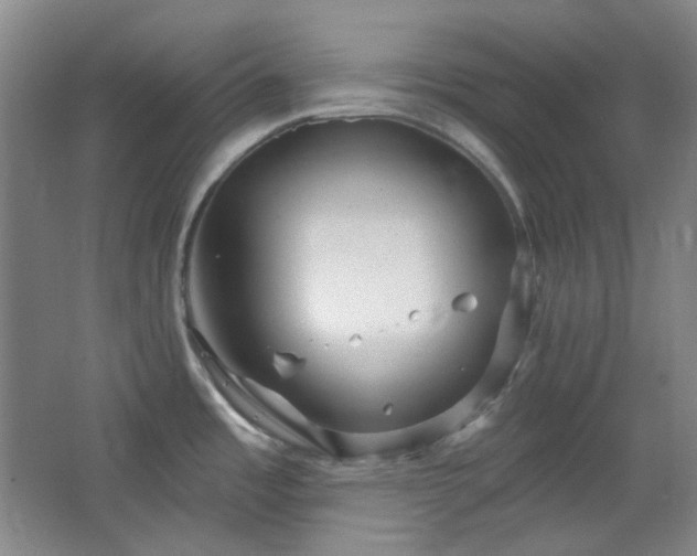 X0000064721485200602101111