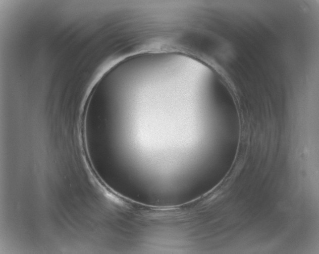 X0000064721486200602101111