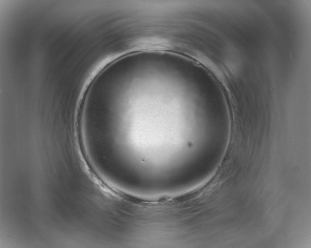 X0000064721488200602101111