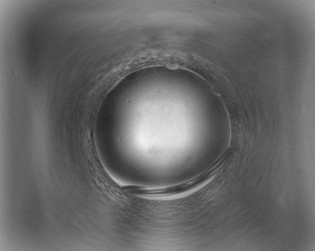 X0000064721489200602101110