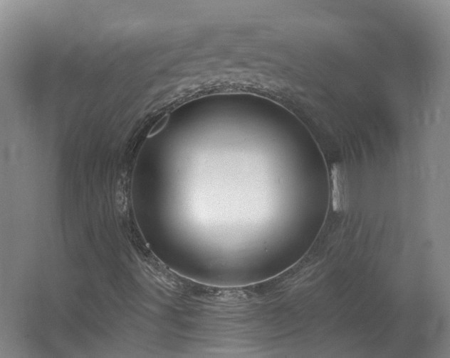 X0000064721491200602101110