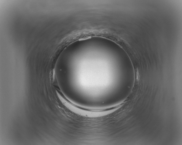 X0000064721492200602101110