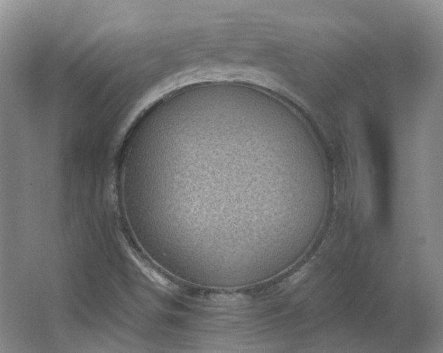 X0000064721498200602101110
