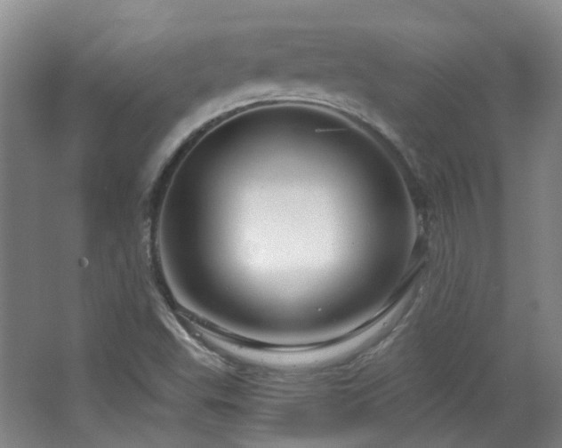 X0000064721503200602101110