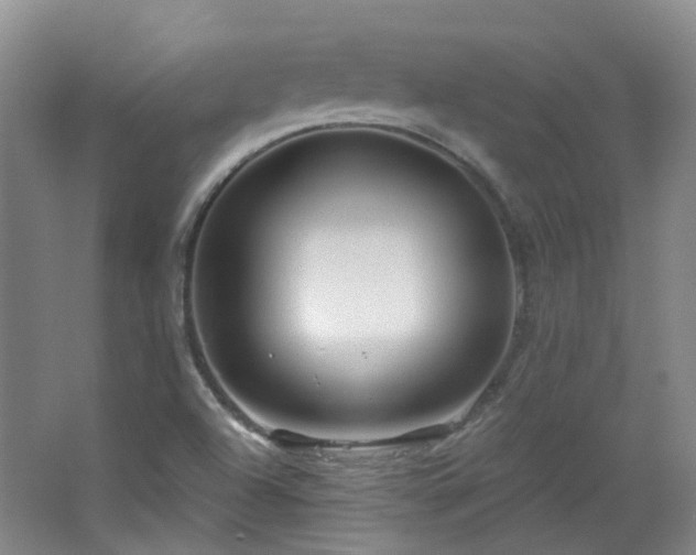 X0000064721504200602101110