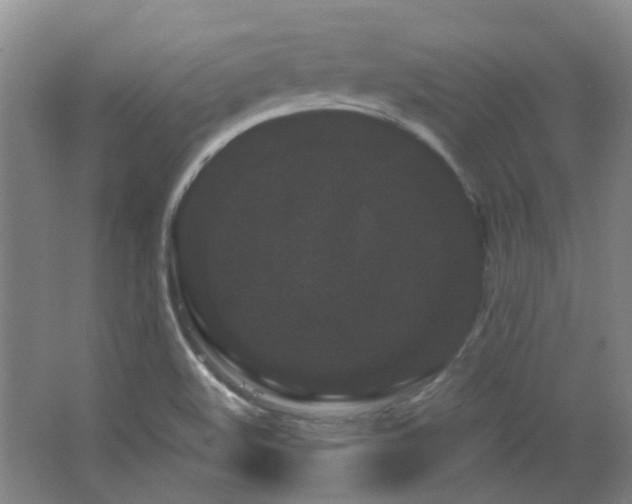 X0000064721508200602101110