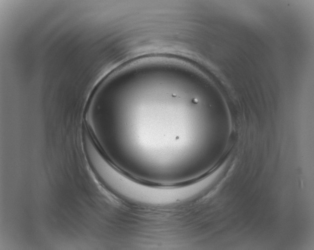 X0000064721513200602101110