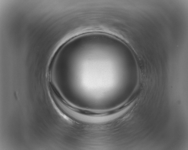 X0000064721519200602101110