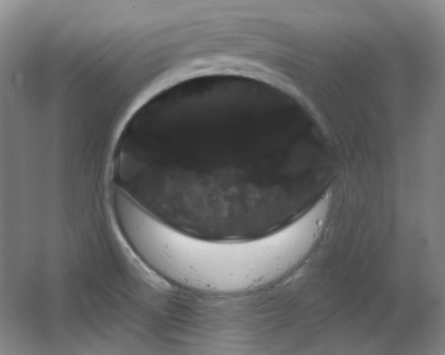 X0000064721522200602101110
