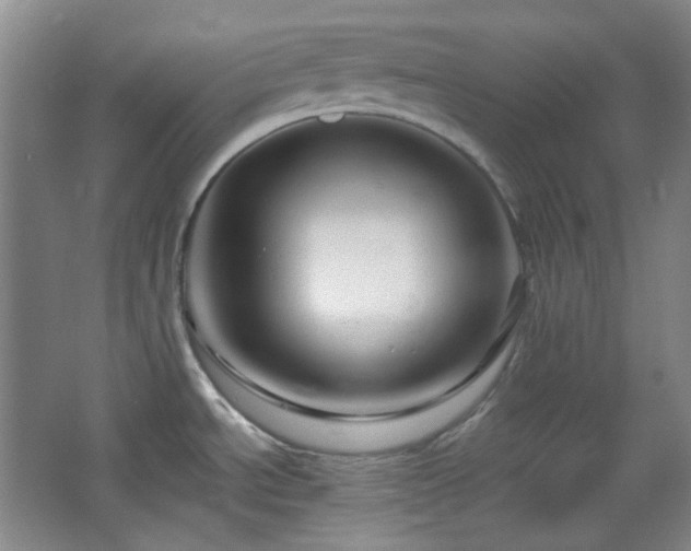 X0000064721534200602101111