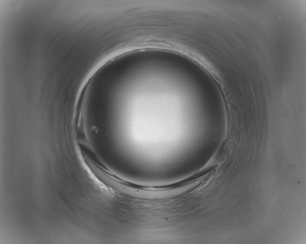 X0000064721536200602101111