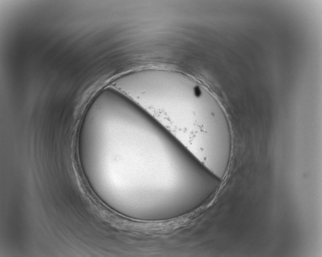 X0000064720001200602131236