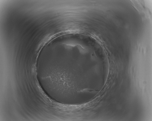 X0000064720002200602131236