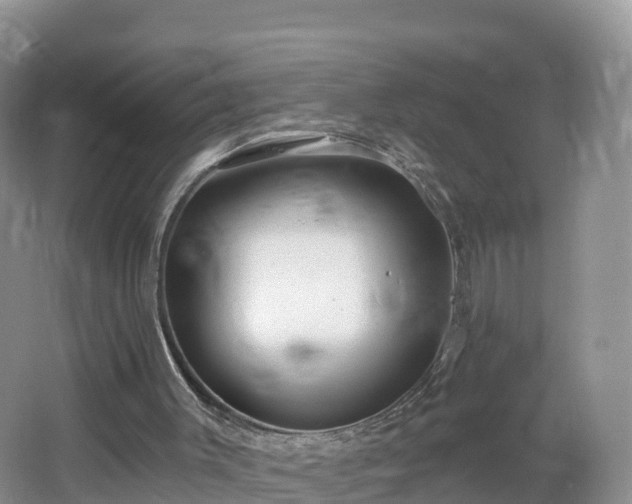 X0000064720003200602131236