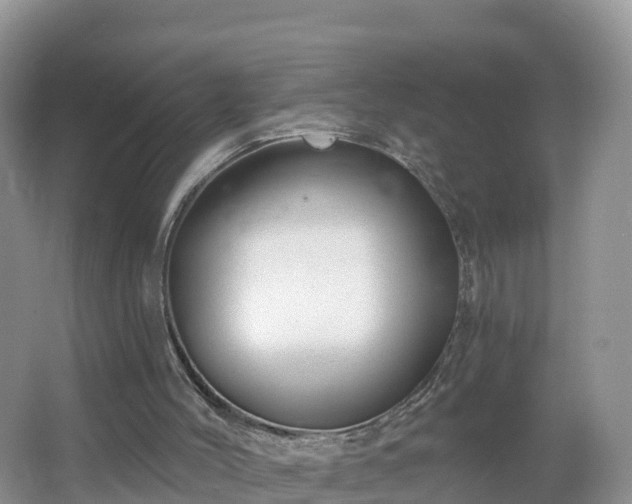 X0000064720004200602131236