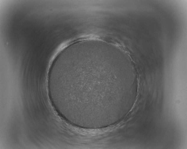 X0000064720006200602131236