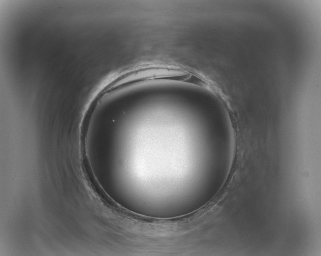 X0000064720008200602131236