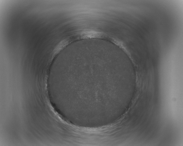 X0000064720010200602131236