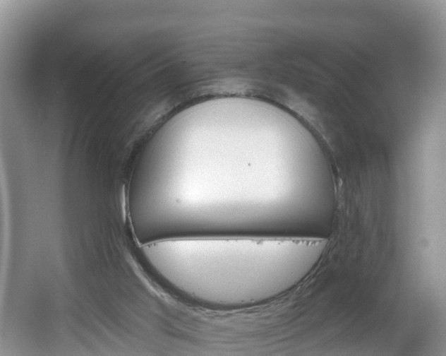 X0000064720013200602131236