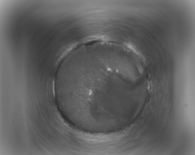 X0000064720014200602131236