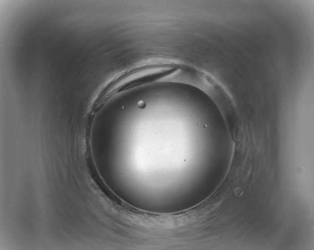 X0000064720015200602131236