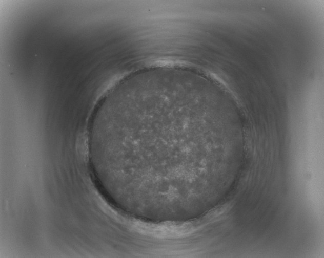 X0000064720016200602131236