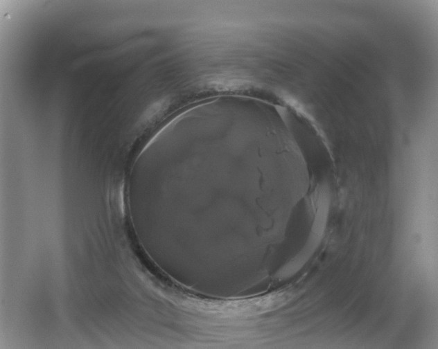 X0000064720019200602131236