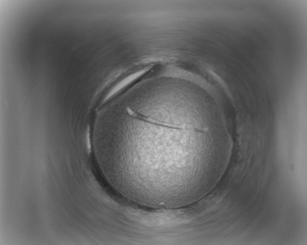 X0000064720020200602131236