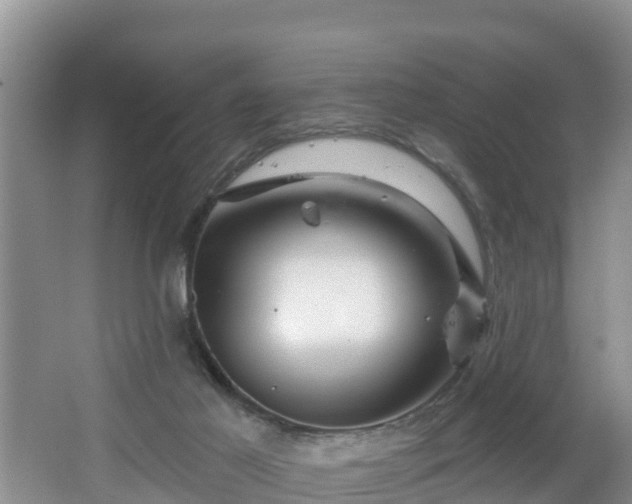 X0000064720021200602131236